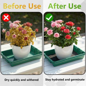 Adnee capillary mat for hydroponics provides consistent bottom moisture delivery