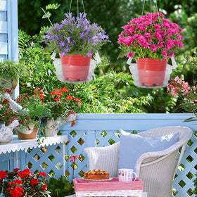 Adnee clear drip trays for potted plants in indoor spaces