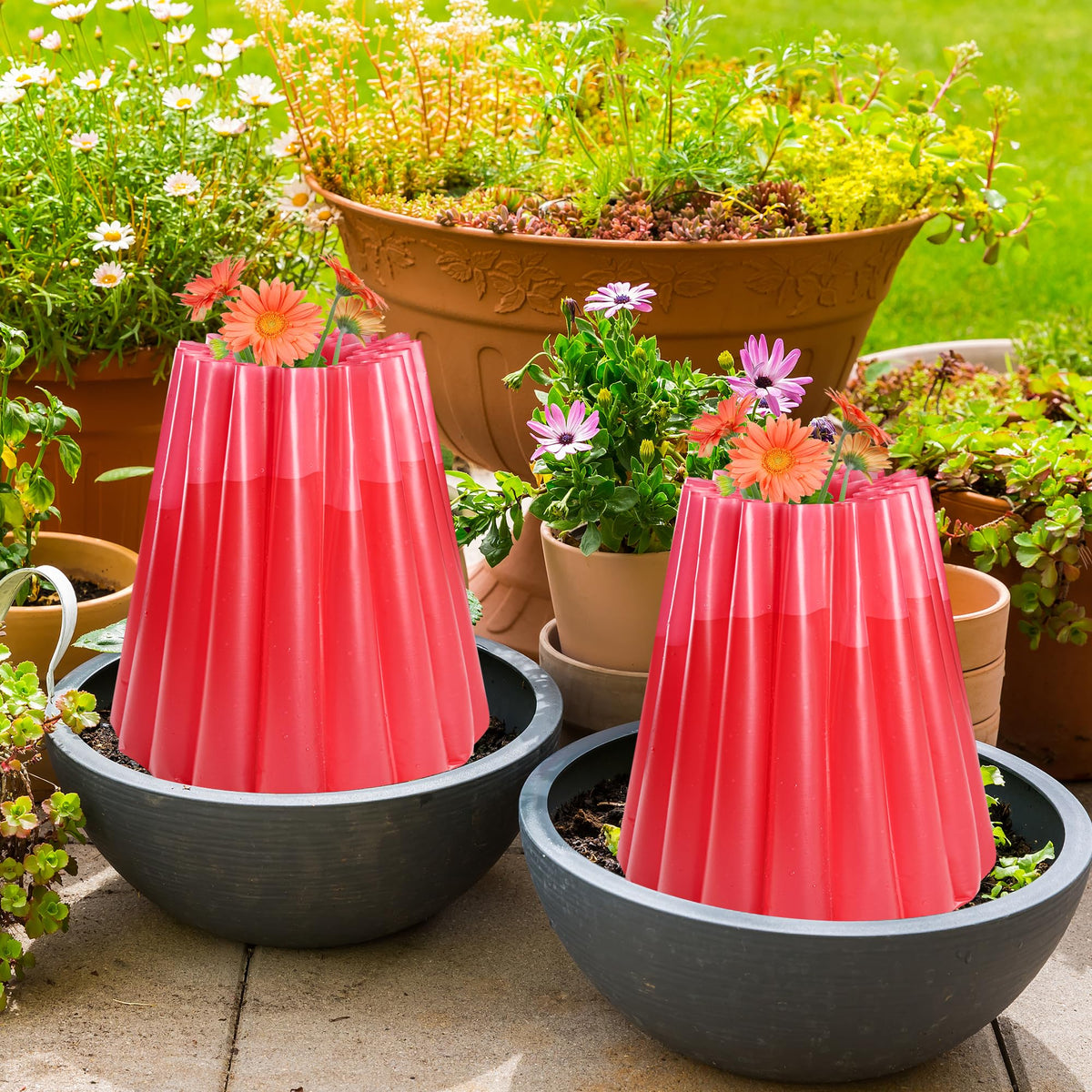 Adnee early-season insulating cover helps extend planting time for vegetables.