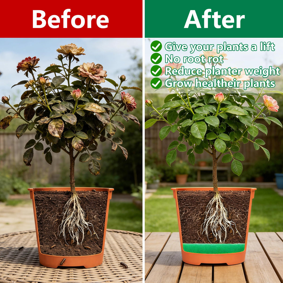 Adnee drainage feature promotes moisture control and root health