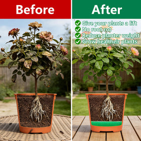 Adnee drainage feature promotes moisture control and root health