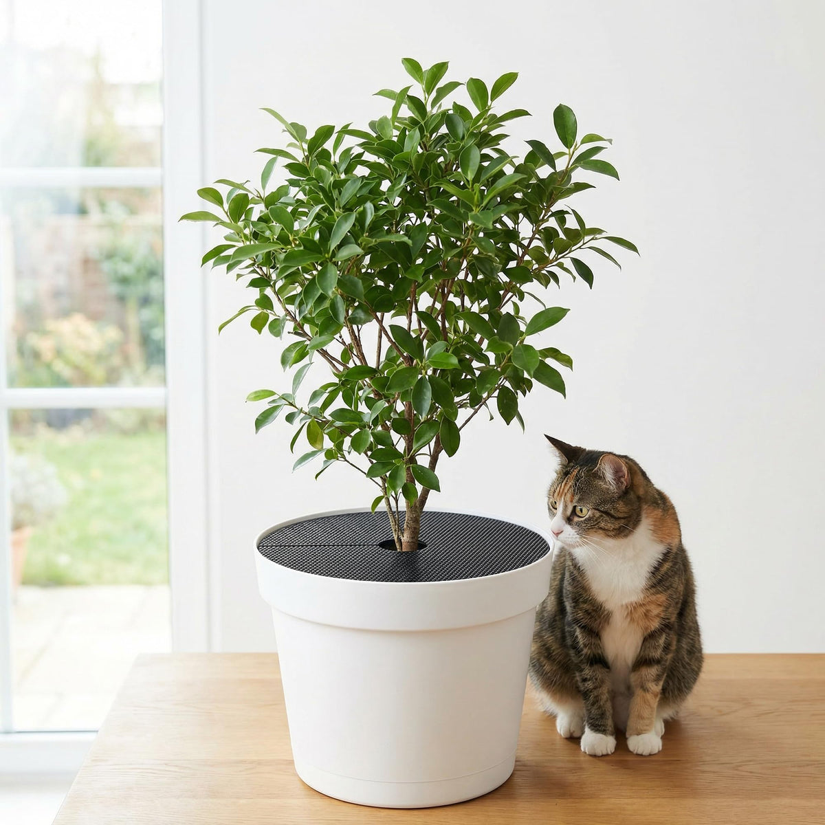 Adnee easy-install plant grid slides onto pot rim quickly