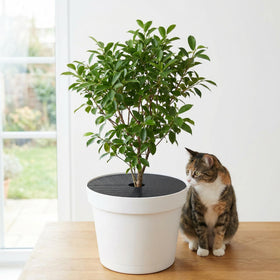 Adnee easy-install plant grid slides onto pot rim quickly