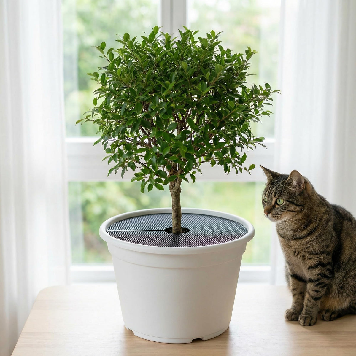 Adnee easy-install grid with opening fits planters quickly without tools