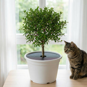 Adnee easy-install grid with opening fits planters quickly without tools