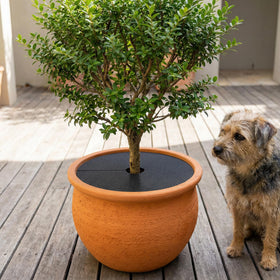 Adnee indoor-outdoor plant grid protector for garden and shelf pots