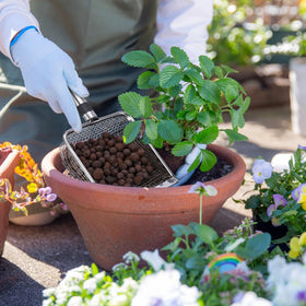 Multi-purpose sifter for sand, dirt, compost, and cleanup tasks.