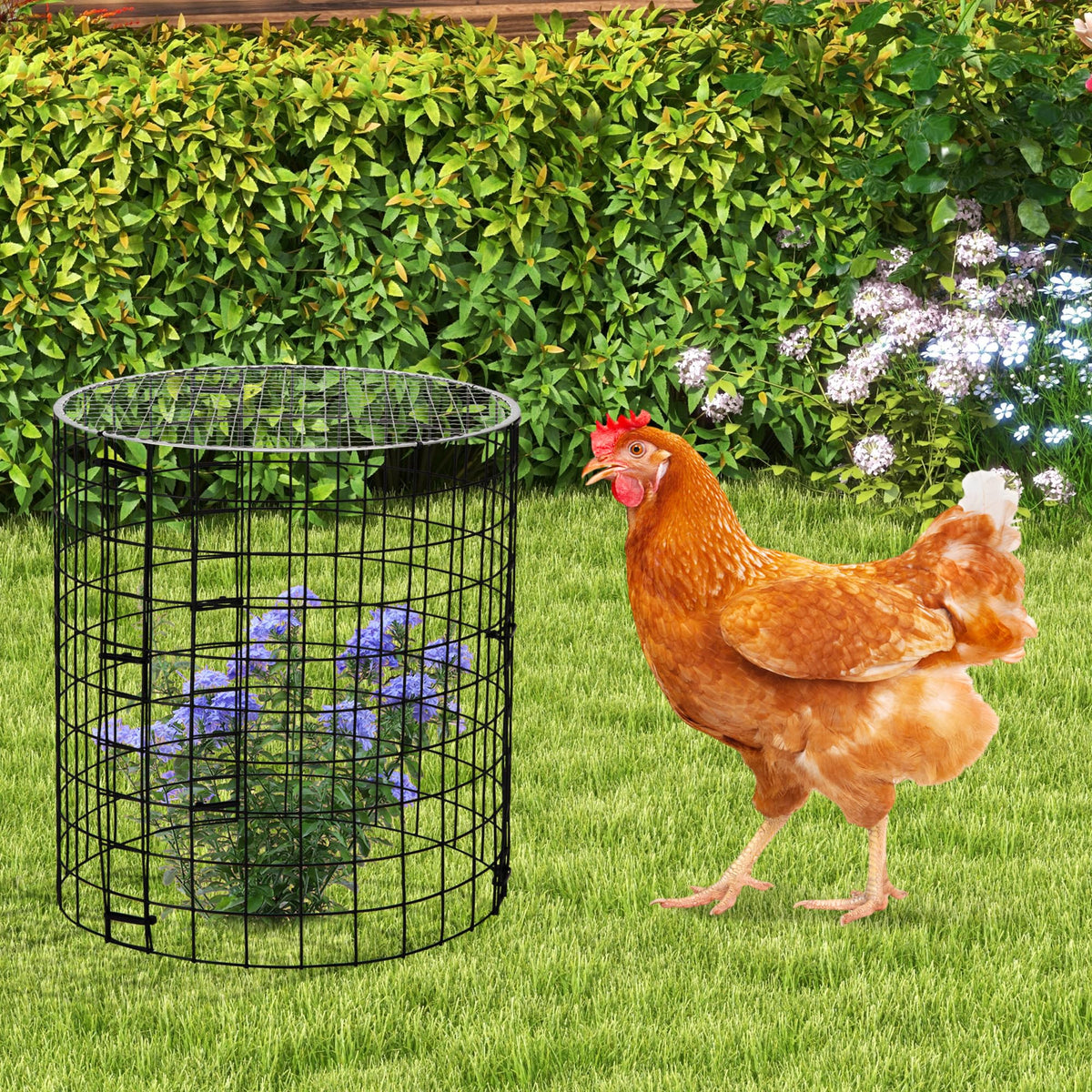 Adnee plant cages protect flowers and vegetables in the garden.