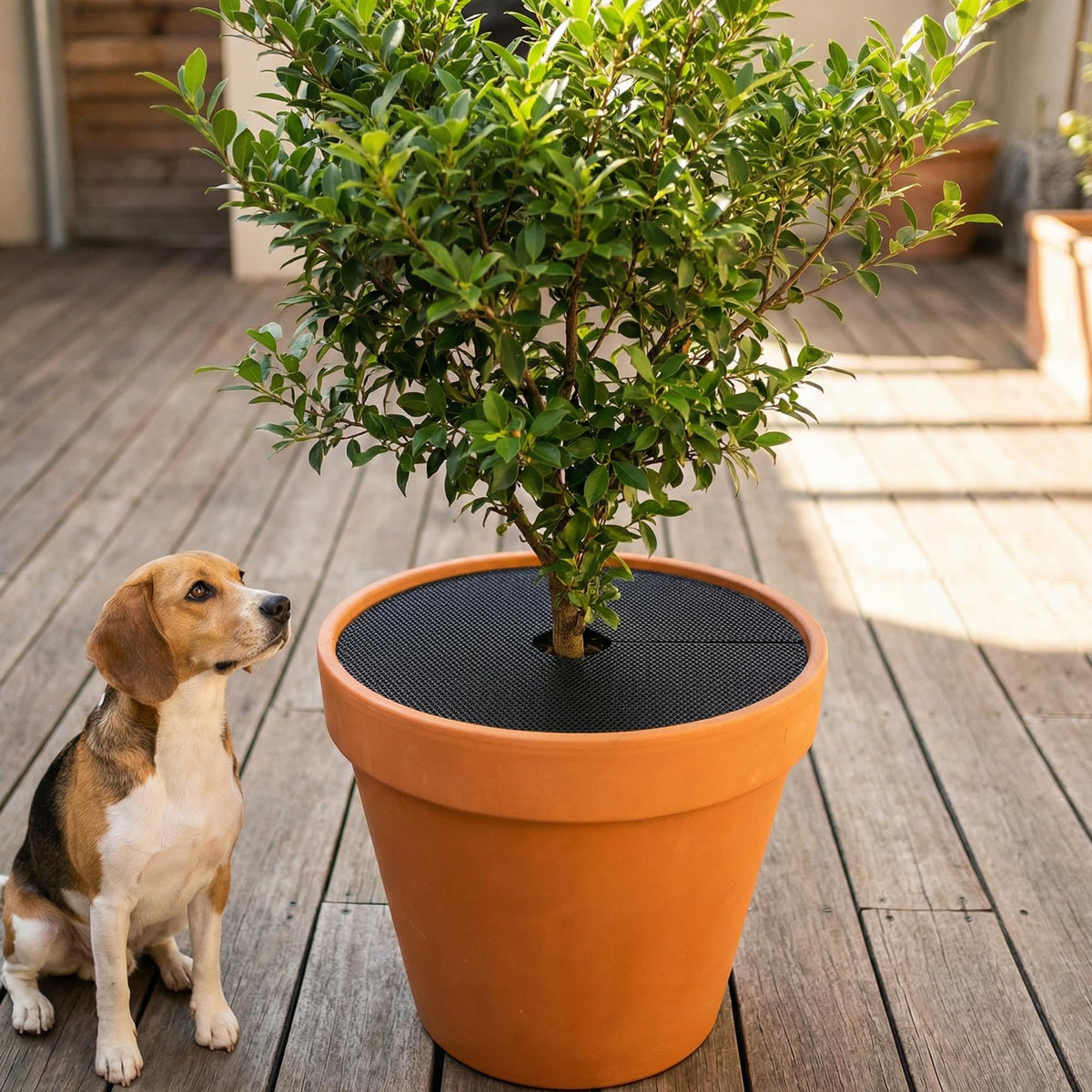 Adnee plant protection guards pots from animal digging and a messy garden