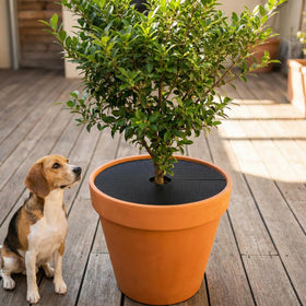 Adnee plant protection guards pots from animal digging and a messy garden