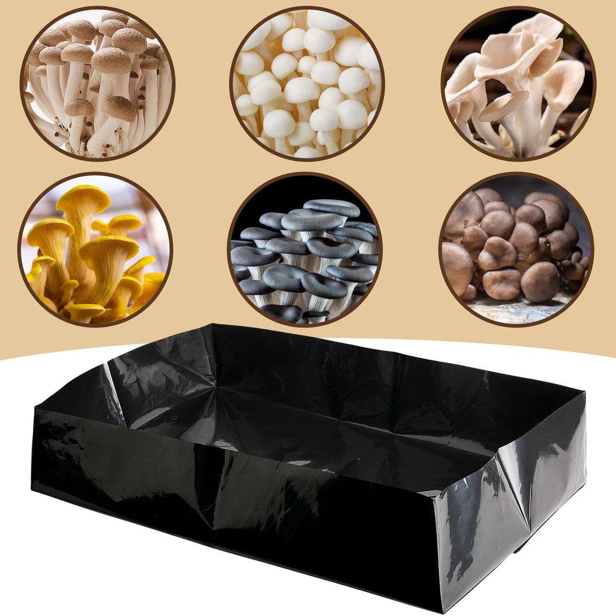 Adnee replacement liner supports ongoing mushroom cultivation readiness.