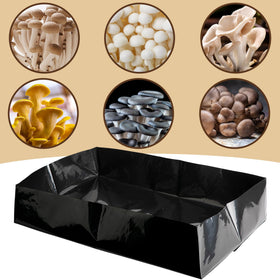 Adnee replacement liner supports ongoing mushroom cultivation readiness.