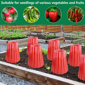 Adnee reusable plastic protectors provide reliable cold-season plant protection.