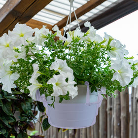 Adnee textured bottom hanging tray stabilizes pots and prevents moisture buildup.