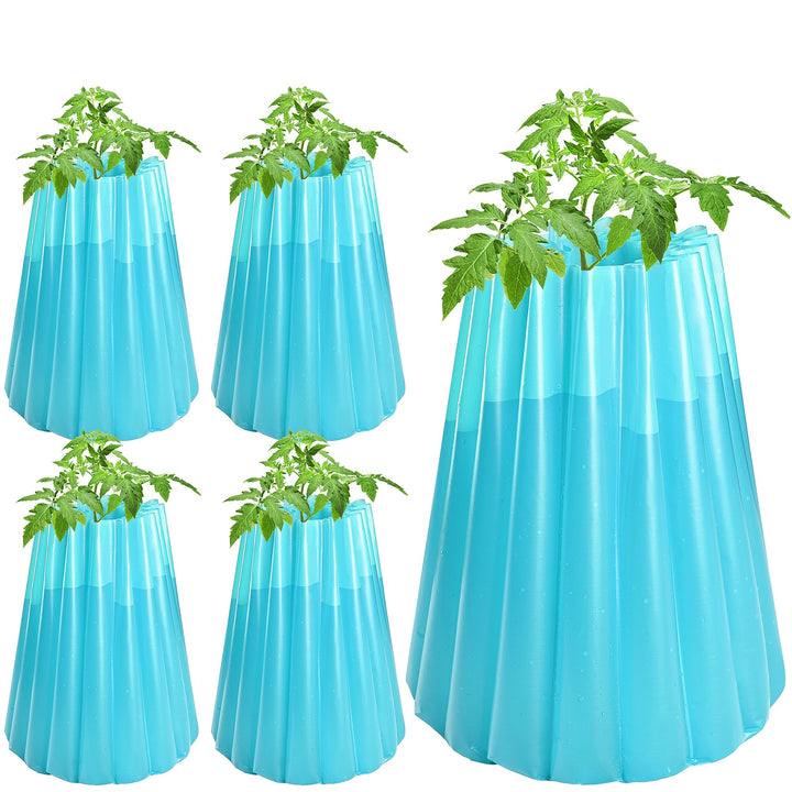 Adnee wall-of-water plant protector blue front view shielding seedlings from frost.