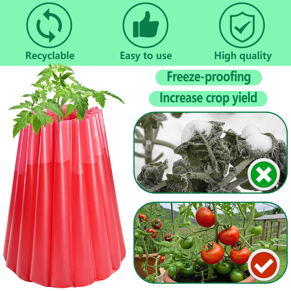 Adnee water tubes warm in sun to extend harvest timing.