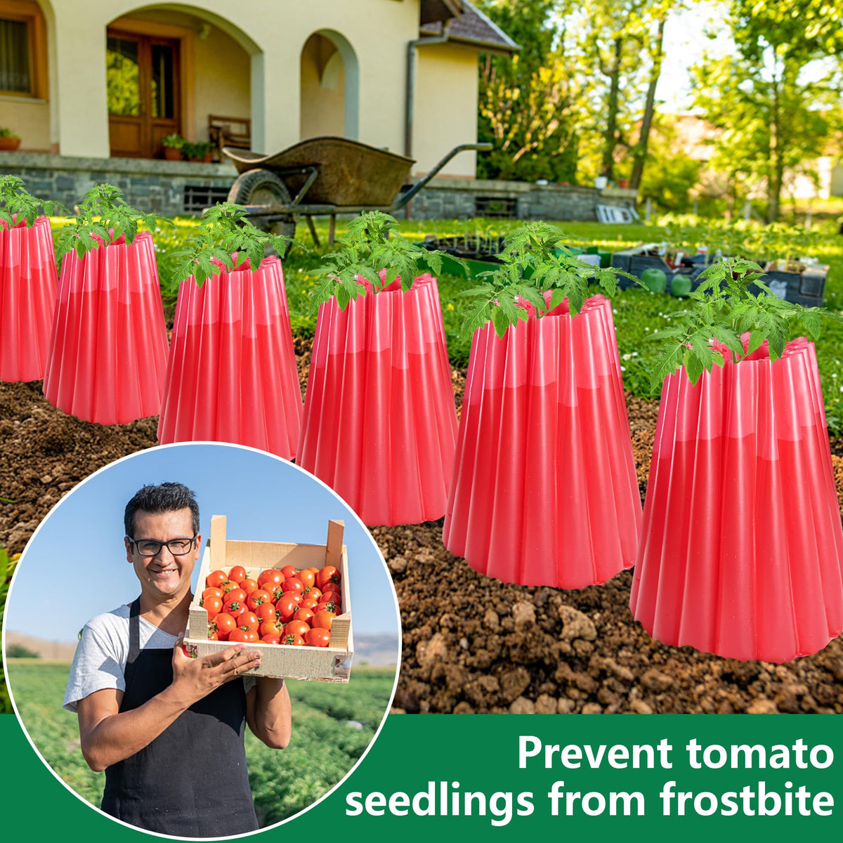 Adnee winter protection keeps vegetables safer during frosty nights.