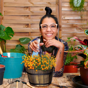 Adnee wooden barrel planter for versatile indoor outdoor setup.