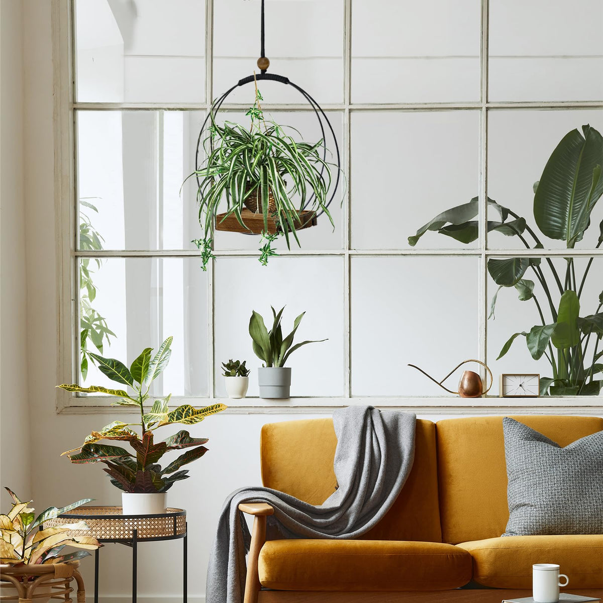 Adnkwolivt corner plant display fits neatly in any room.