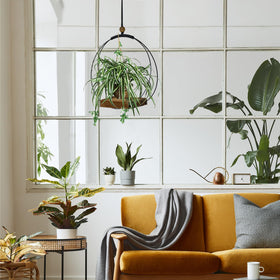 Adnkwolivt corner plant display fits neatly in any room.