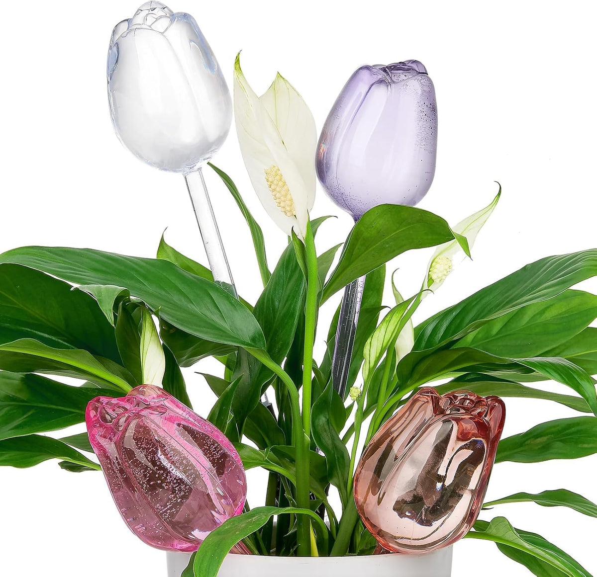 Adoric plant watering globes tulip-design in soil provide steady hydration for indoor plants