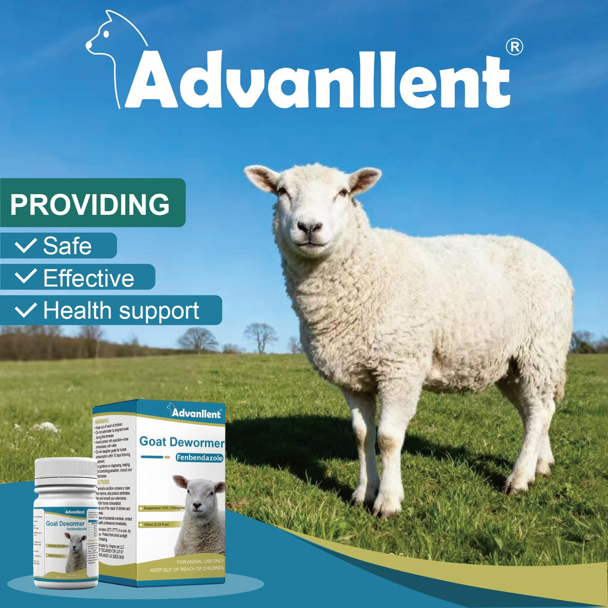 Goats receive Advanllent dewormer treatment in a flock.