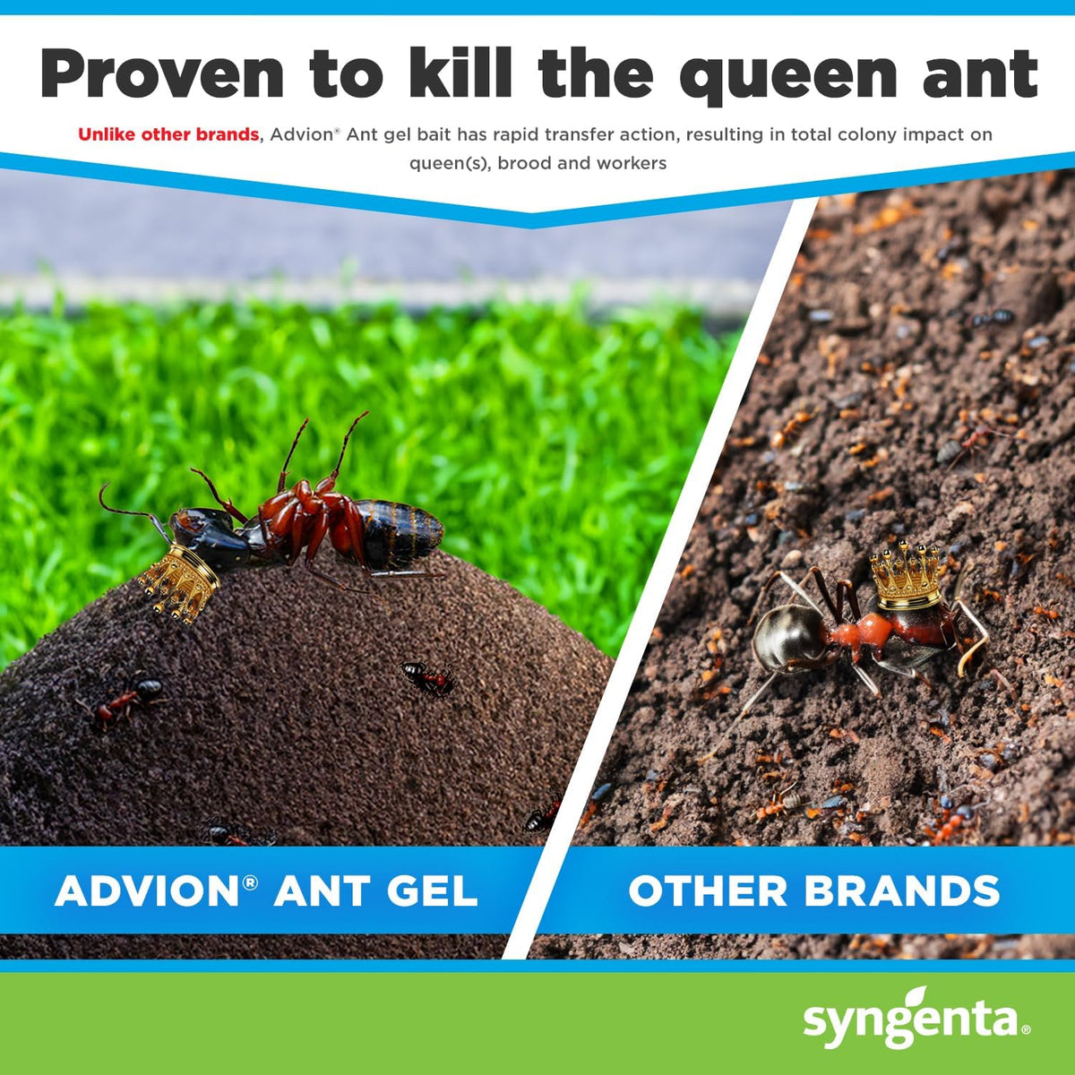 Advion Ant Gel Station outdoor use near entryways targets foraging ants outside.