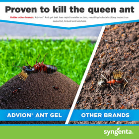 Advion Ant Gel Station outdoor use near entryways targets foraging ants outside.