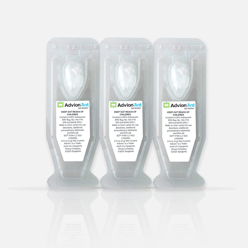 Advion Ant Gel Station trio pack ready-to-use bait for indoor and outdoor control.
