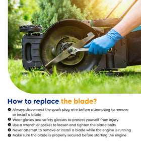 Aeagle blade edge uses safety paint and supports safe resharpening when needed.