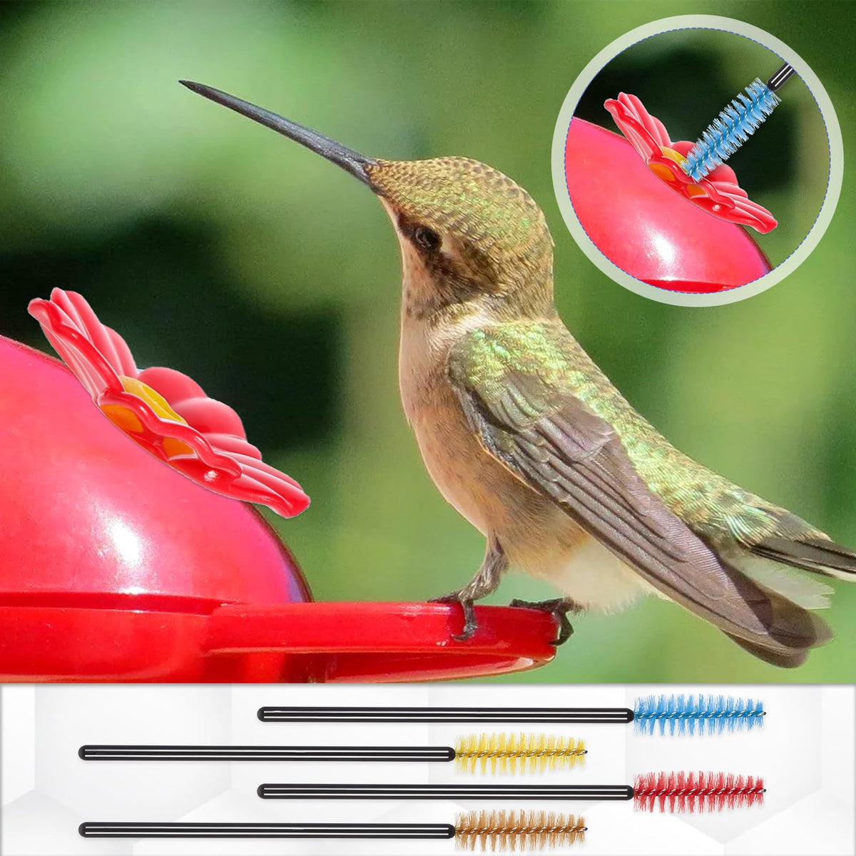 Aeaocvo small-parts cleaning brushes aid jewelry and watches.