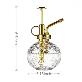 Aebor 7oz glass spray bottle designed for small plants and balcony pots.