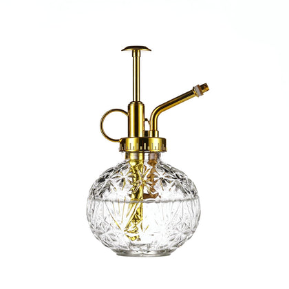 Aebor glass plant mister bottle with gold top for gentle indoor plant misting.