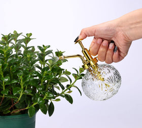 Aebor gold top pump provides comfortable grip for easy misting.