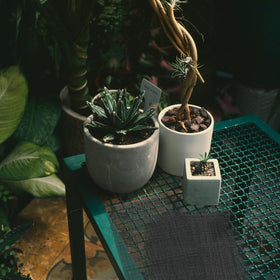 AEDOVE dense mesh base keeps potting soil contained and organized
