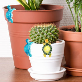 AEOSEAZTU indoor-outdoor garden display shows versatile use on pots and shelves.