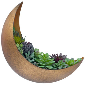 AERLO Moon Wall Planter close-up shows brushed-gold finish for chic indoor decor.