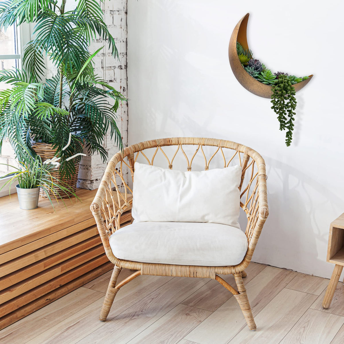AERLO Moon Wall Planter in rustic boho decor setup.