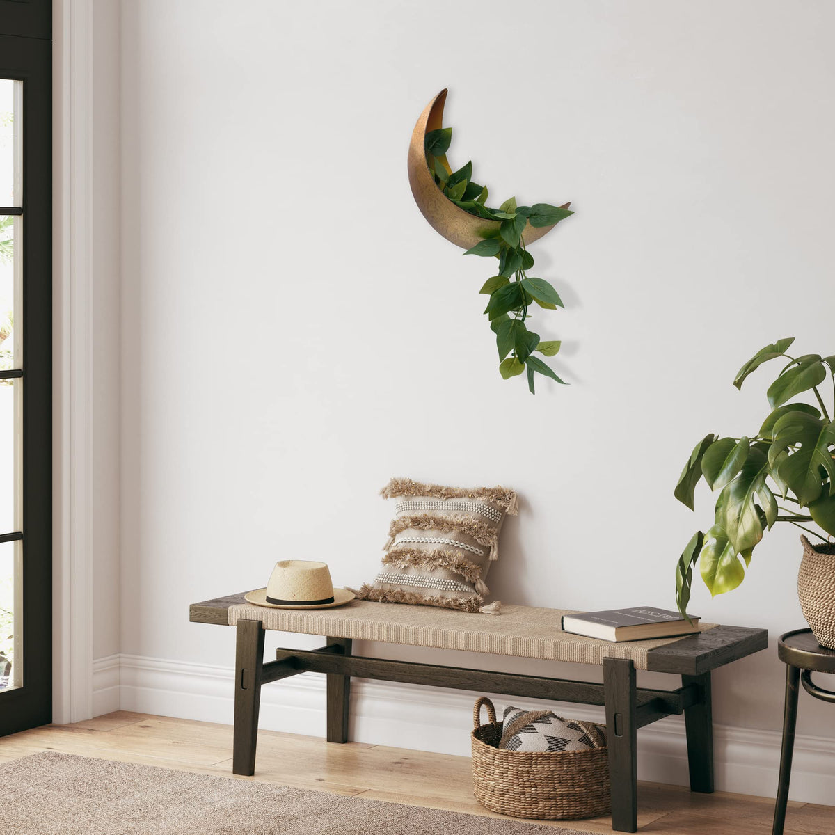 AERLO Moon Wall Planter with succulent demonstrates real plant display.