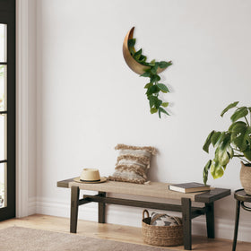 AERLO Moon Wall Planter with succulent demonstrates real plant display.
