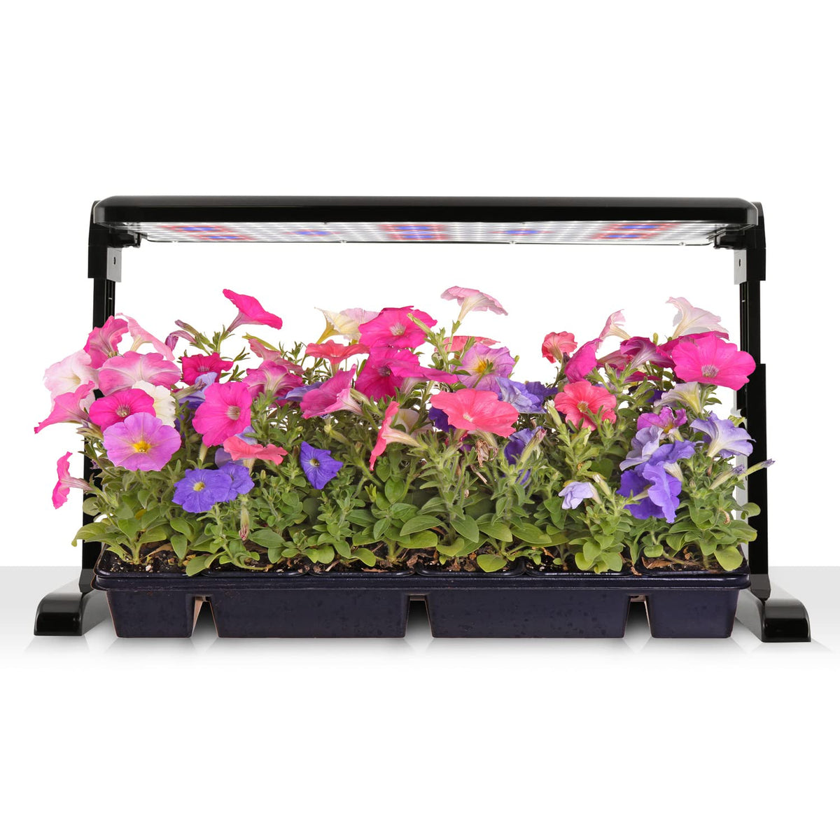 AeroGarden 45W LED grow light panel on stand supporting a seed starting tray