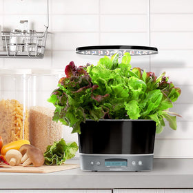 AeroGarden Harvest Elite 360 six-pod configuration supports diverse indoor harvests.