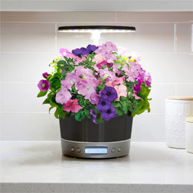 AeroGarden Harvest Elite 360 compact kitchen setup fits countertops and desks nicely.