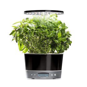AeroGarden Harvest Elite 360 grow light illuminates herbs indoors for year-round gardening.