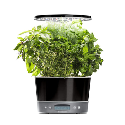 AeroGarden Harvest Elite 360 grow light illuminates herbs indoors for year-round gardening.