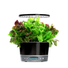 AeroGarden Harvest Elite 360 stainless steel body offers a sleek, durable kitchen display.