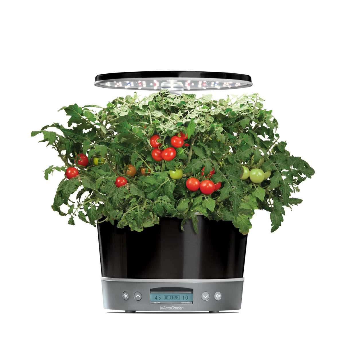 AeroGarden Harvest Elite 360 water bowl enables soil-free hydroponic gardening in a modern kitchen.