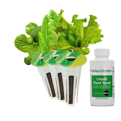 AeroGarden Heirloom Salad Greens pods germinating for fresh greens year-round.
