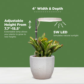 AeroGarden Stem Grow Light with a 6 foot power cord for flexible placement