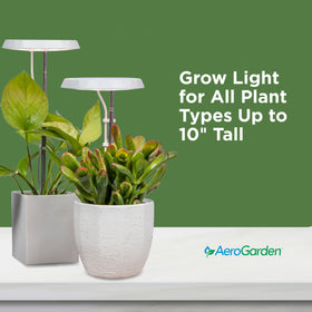 AeroGarden Stem Grow Light brightness adjusted with dimming feature